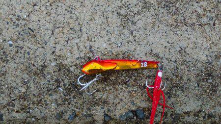 西宮ケーソンやっと太刀魚釣れました。